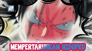 Aku Mempertaruhkan Hidupku Untukmu | One Piece-2