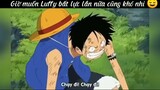 Giờ còn lâu Luffy mới để yên nhé #anime