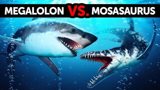 Sẽ Ra Sao Nếu Megalodon Gặp Thằn Lằn Biển Khổng Lồ Mosasaurus