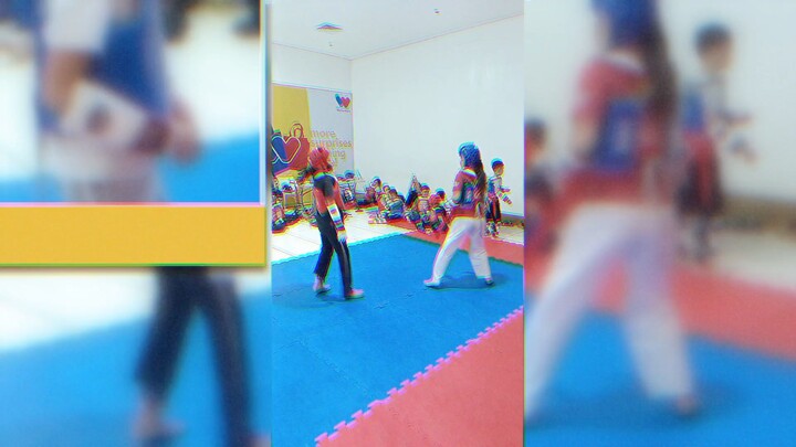 sparing MG TAEKWONDO BATS