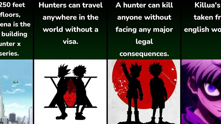 Hunter X Hunter Interesting Facts