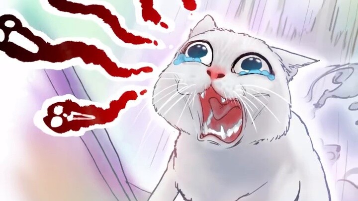 คน แมว และหนูต่างหวาดกลัว!