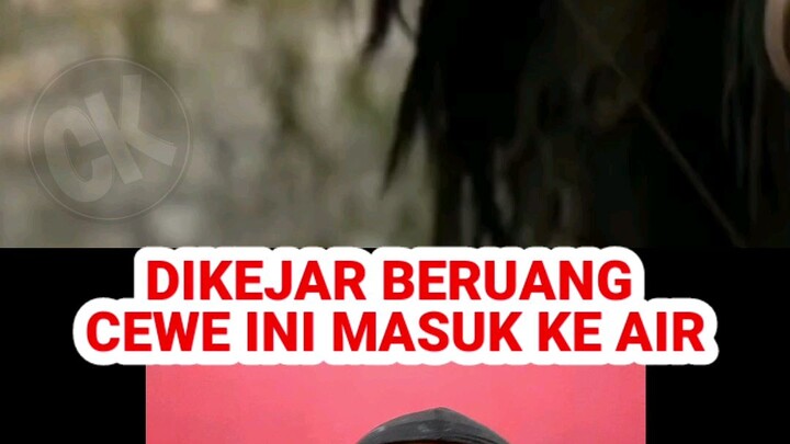 SEORANG DIRI BERANI MELAWAN BERUANG GANAS