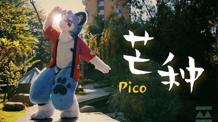 【Fursuit Dance】芒种 - Pico