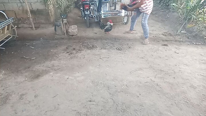 spar lang