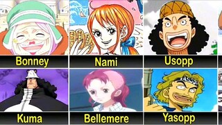 các gia đình trong one piece