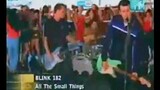 Blink 182 - All The Small Things (MTV NONSTOP HITS)
