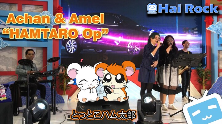 Achan & Amel "Hamtaro Op."