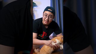 MEDY RENALDY NGE-REVIEW MAINAN KUCING GARFIELD?!