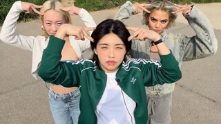 世界上最hiphop的猫在结冰的汉江上行走🐈🐱Aiki X Kristen X Ling