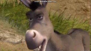 Shrek - Shrek and Donkey Argument Scene