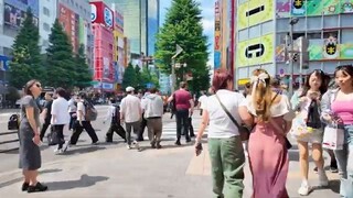 y2mate.com - ４Ｋ60 Walk in Akihabara 秋葉原をお散歩 Tokyo 東京  Tokyo Japan Walk 日本を散歩  Ma