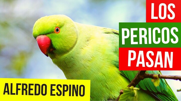 LOS PERICOS PASAN ALFREDO ESPINO 🦜⛅ | Jícaras Tristes Pájaros de Leyenda 🌳 | Alfredo Espino Poemas