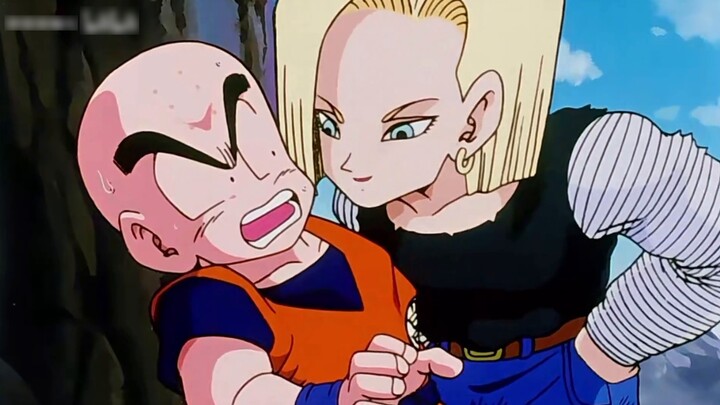 [Dragon Ball /cpxiang] I heard that the men in Dragon Ball are all strict with their wives.