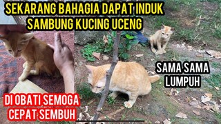 Anak Kucing Minta Tolong Kakinya Lumpuh Part II Sedang Di Obati..!