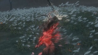 Video ca nhạc của Sekiro: Vì bạn tôi sẽ giết cả nhà Ashina