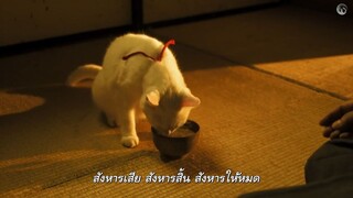 Neko Zamurai 04 ซามูไรแมวเหมียว