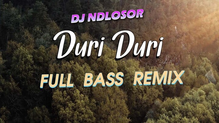 Dj Duri Duri Yang Kau Tancapkan Di Hati Ini  | Duri Duri |DJ NDLOSOR |Remix Viral Tik Tok (Official)