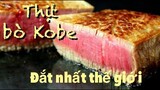The food in japan- ẩm thực đường phố nhật bản- Thịt bò kobe - Wagyu in japan | DK Food & Travel