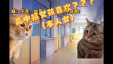 【猫meme】关于我高中莫名招女通讯录喜爱