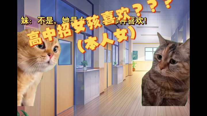 【Cat meme】About me in high school, I was attracted by girls in my address book for no reason