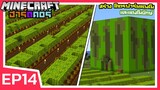 โคตรฟาร์มแตงโม และ แตงโมยักษ์ | Minecraft ฮาร์ดคอร์ 1.17 (EP14)