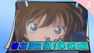 Phân cảnh Haibara Thám tử lừng danh Conan_2