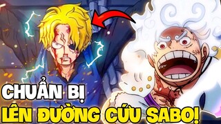 TIẾP THEO BĂNG MŨ RƠM SẼ ĐI CỨU SABO?! | MỤC TIÊU TIẾP THEO CỦA BĂNG MŨ RƠM LÀ GÌ?!