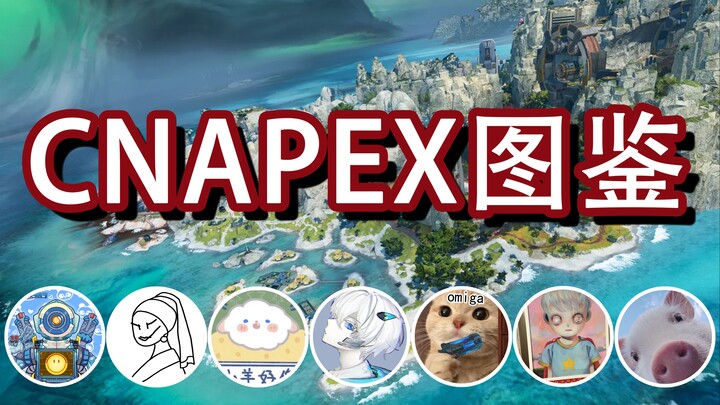 【CNAPEX Illustrated Guide】บางคน | บางคนยกยอคนอื่น บางคนมึนไปแล้ว