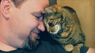 Why Cats Are ​Actually​ Man's Best Friend - Cat Shows Love To Owner