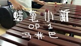 [Marimba]Crayon Shin-chan OP1 "Sở thú は大変だ"