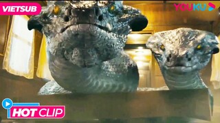 [HOTCLIP] Rắn Hai Đầu Tràn Vào Khoang Tàu | XÀ VƯƠNG -  King of Snake | Phim Lẻ YOUKU