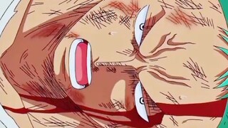 Roronoa Zoro and Kuma