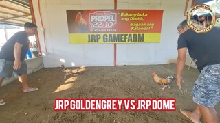 Gilmore sweater, Goldenboy Gilmore ,5K Goldenboy  AEJ line  vs JRP lines!