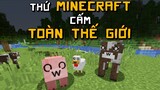 Thứ Minecraft CẤM Trên Toàn Thế Giới!