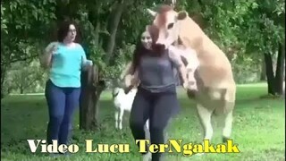 Video Lucu TerNgakak/hiburan Warga 62