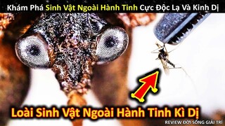 Khám Phá Loài Sinh Vật Ngoài Hành Tinh Kỳ Dị Và Cái Kết Kinh Hoàng || Review Giải Trí Đời Sống