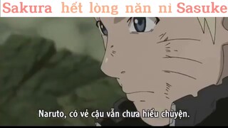 Sakura hết lòng năn nỉ Sasuke