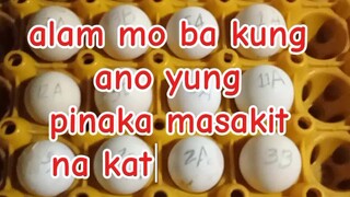 laban sa pangarap