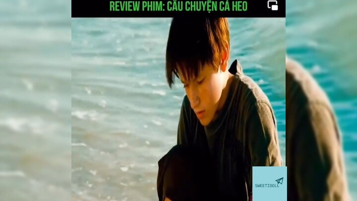 Tóm tắt phim: Câu chuyện cá heo p1 #reviewphimhay