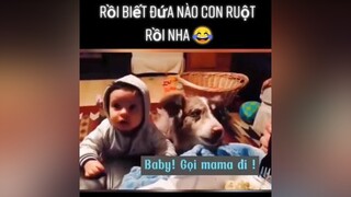 Rồi biết đứa nào con ruột rồi nha 😂yeudongvat thucung dog animals #pet fyp foryou