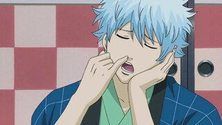 [Gintama ‖Sakata Gintoki] Ai có thể đứng vững trước một con mèo bạc như vậy!