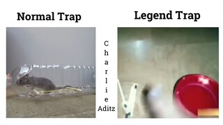 Normal Trap Vs Legend