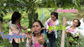 พาชมสวนแม่ชบาค่ะ คลิปนี้แม่พูดไทยจะรอดไหมไปดูจ้า | แม่ชบาพาแซ่บบ