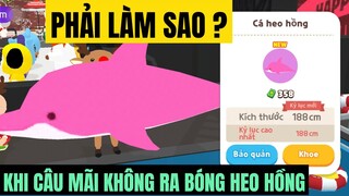 PLAY TOGETHER | “GIẢ NGHÈO” ĐI SĂN CÁ HEO HỒNG VÀ CÁI KẾT….