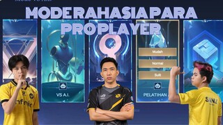 Mode Rahasi Pro Player telah rilis di original server