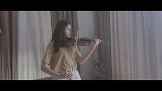 MAPA (VIOLIN)