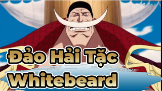 Đảo Hải Tặc|Whitebeard-VÌ tôi đã là 1 người cha rồi, hay là tôi hy sinh để cứu con trai?