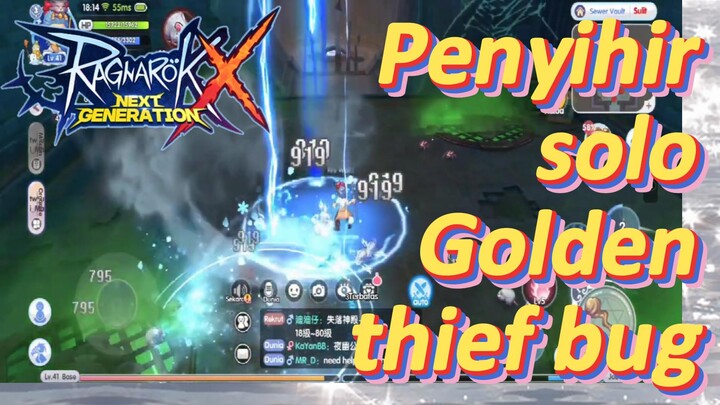 [Ragnarok X: Next Generation] Penyihir solo Golden thief bug