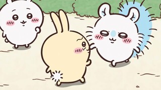 【Chiikawa】The evil hairy force bullies Ji Yi
